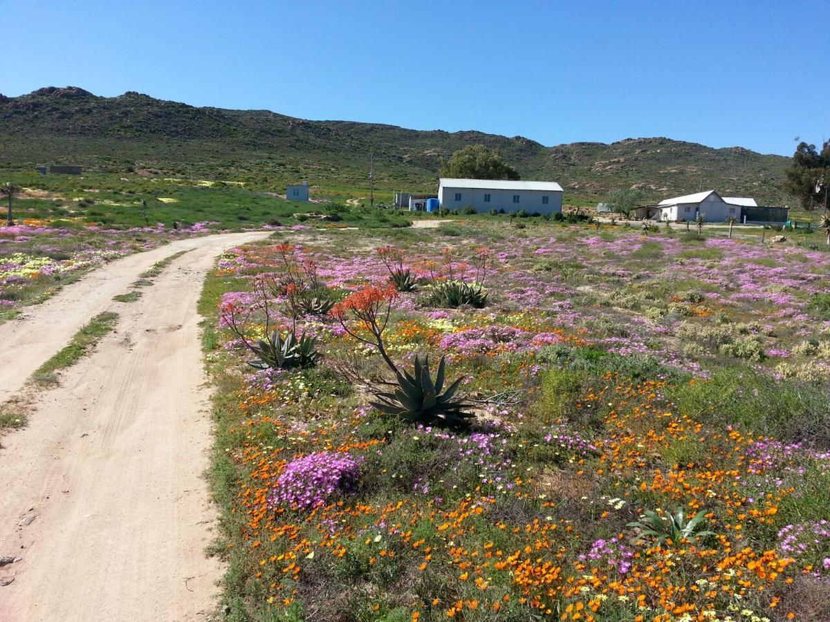 Middelkraal Accommodation Garies Buitenkant foto